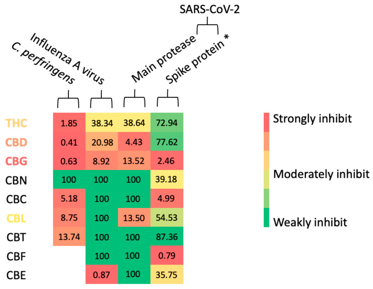 An overview of the anti-infective activities of cannabinoid derivatives found in this study is shown in a heatmap format. Asterisk (*) represents a calculation based on a result obtained from a screening study, while the other calculates based on IC50 values compared to a positive control or standard drug.