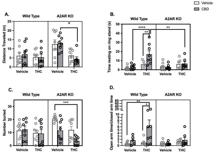 Behavioral effects of THC (5 mg/kg), CBD (5 mg/kg) and their combination in wild type (WT, open bars and gray symbols) and A2AR null (A2AR-KO, closed bars and black symbols) mice. (A) Drug effects on distance moved in 15 min while in a cylindrical open field arena. One outlier was identified in the CBD/THC/A2AR-KO group. (B) Drug effects on cataleptic behavior in the ring stand assay. Outlier analysis indicated 4 outliers in this data set (2 in the WT/VEH/THC group, 1 in the KO/VEH/THC group and 1 in the KO/THC/CBD group). (C) Drug effects on the number of marbles buried. (D) Drug effects on the ratio of time spent in the open and closed arms of the EPM. A total of 8 mice were removed from the analysis; 3 mice became immobile on the open arm (2 in the WT/veh/CBD group and 1 in the KO/THC/CBD group); and 5 additional mice were identified as statistical outliers (1 each in the WT/veh/CBD, WT/veh/THC, KO/veh/veh, KO/veh/THC and KO/veh/CBD groups). Bars represent the mean, and vertical lines are the standard error of the mean. * p < 0.05, ** p < 0.01, *** p < 0.001, **** p < 0.0001.