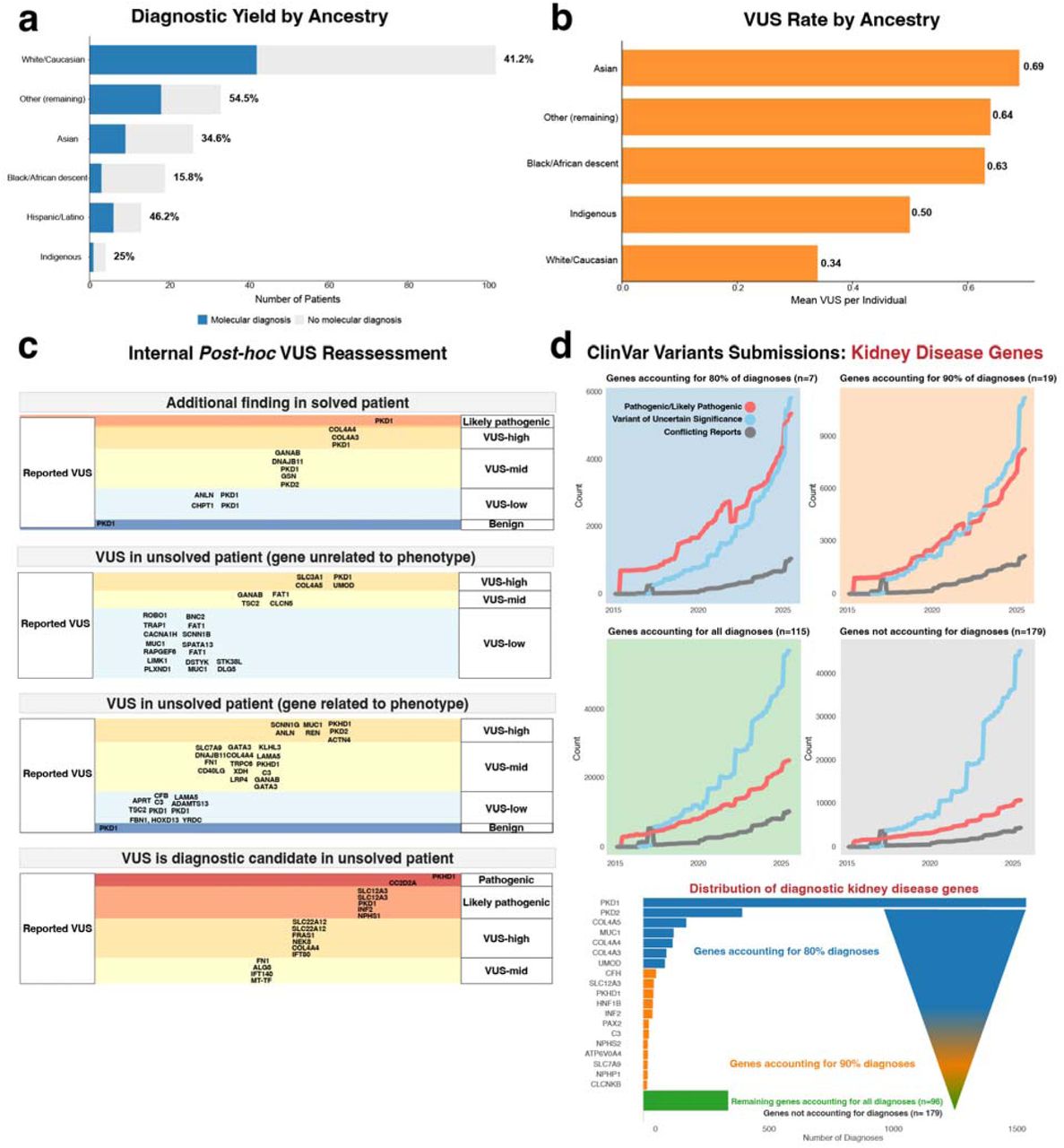 VUS and Diagnostic Analysis.A. Bar chart showing diagnostic yield by ancestry. Dark blue bars represent individuals with a molecular diagnosis (Partial Diagnosis, Confirmed Diagnosis, Reclassified Diagnosis, Candidate diagnosis, at-risk, Diagnosis) and dark red bars represent no diagnosis. Percentages and counts are displayed for each ancestry group, with a legend indicating outcomes. B. Bar chart depicting the mean number of variants of uncertain significance (VUS) per individual by ancestry group. C. Internal post hoc VUS reassessment applying ACMG/AMP with point-based scoring and evidence-level VUS subclassification in clinical context. D. ClinVar analysis of submitted Pathogenic/Likely pathogenic variants, Variants of uncertain significance, or Variants with Conflicting reports over time. Facets represent different categories of diagnostic renal disease genes reported by the meta-analysis from Schott et al.14, grouped by their cumulative diagnostic contribution to diagnosed patients. Individuals from underrepresented ancestries had lower diagnostic yield and higher VUS burden, and most reported VUS were mid or lower confidence on internal review, while high-confidence VUS clustered in well-established renal genes, underscoring the need for structured re-evaluation and ancestry-inclusive data generation.