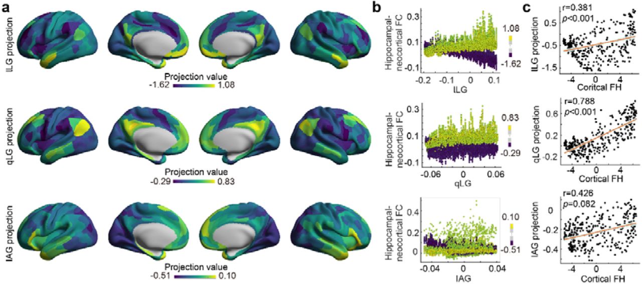 Cortical projection of the right hippocampal gradients in youth.a, Group-averaged cortical projection of the right hippocampal gradients. b, Relationship between the right hippocampal gradients and the neocortical-hippocampal FCs corresponding to the cortical regions that exhibit the top 5% and bottom 5% projection values. Each data point within the diagram signifies an individual vertex located on the hippocampal surface. The color indicates the projection values. c, Correlation between the projection pattern of specific gradients in the right hippocampus and the cortical FH.