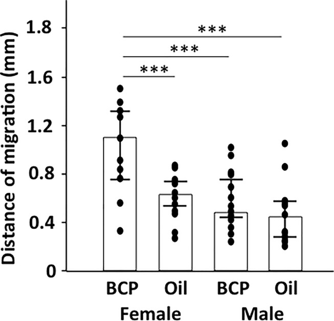Influence of BCP on re-epithelialization in male and female mice.Length of K14+ staining area from the boundary of the intact and wounded area to the center of the wound in skin harvested on post-surgery day 4 from mice exposed to BCP or oil. Bar indicates median and line indicates 25 and 75% quartile. ANOVA, BCP vs. oil, F1,66 = 14.793, P<0.001; gender, F1,66 = 30.761, Tukey’s post-hoc test, ***: P<0.001; females, BCP, n = 16, oil, n = 16, males, BCP, n = 23, oil, n = 15.