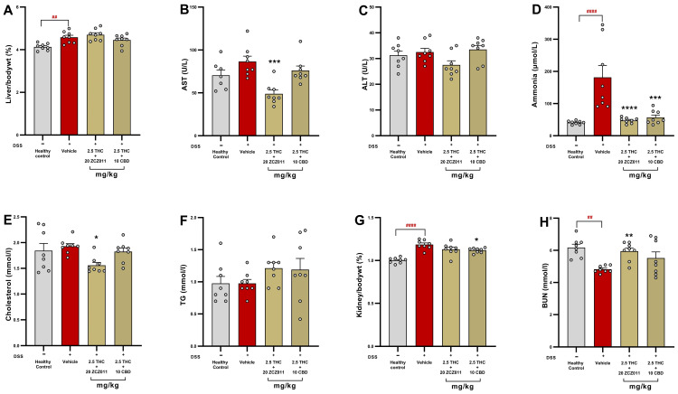 Effects of THC combined with ZCZ011 or CBD on hepatic and renal parameters in DSS-induced chronic colitis. (A) Liver-to-body weight (%). (B) Plasma AST levels (U/L). (C) Plasma ALT levels (U/L). (D) Plasma ammonia levels (µmol/L). (E) Plasma cholesterol levels (mmol/L). (F) Plasma triglyceride levels (mmol/L). (G) Kidney-to-body weight ratio (%) and (H) Plasma blood urea nitrogen (BUN) levels (mmol/L). Data are presented as mean ± SEM. Statistical significance: ## p < 0.01, #### p < 0.0001 vs. healthy control; * p < 0.05, ** p < 0.01, *** p < 0.001, **** p < 0.0001 vs. vehicle-treated DSS group.
