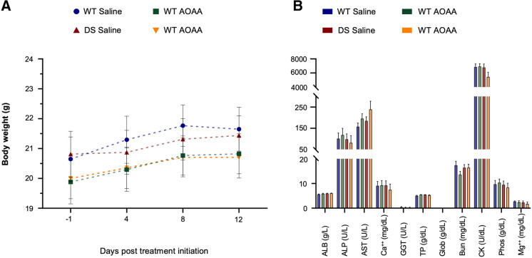Pharmacological inhibition of the CBS enzyme with AOAA at a dose of 1 mg/kg/day for 2 weeks does not impact animal growth and systemic health. A Body weight of the mice monitored every 4 days; n = 16/group. B Analysis of circulating biomarkers for peripheral organ dysfunction, using the VetScan® Analyzer; n = 5/group. No statistically significant differences were found between the studied groups