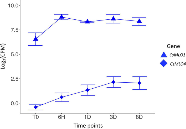 Transcriptomic response of clade V CsMLO genes following inoculations with powdery mildew. Time series analysis of the infection of Cannabis sativa leaves by PM, showing average gene expression for CsMLO1 (blue triangles) and CsMLO4 (blue diamonds). Gene expression is displayed on the y-axis as the average logarithmic value of the Counts Per Million [log2(CPM)] at each time point (displayed on the x-axis, n = 3 per time point). Time points: no infection/control (T0), 6 h post-inoculation (6H), 24 h post-inoculation (1D), 3 days post-inoculation (3D), and 8 days post-inoculation (8D). Error bars at each time point represent the standard deviation (SD).