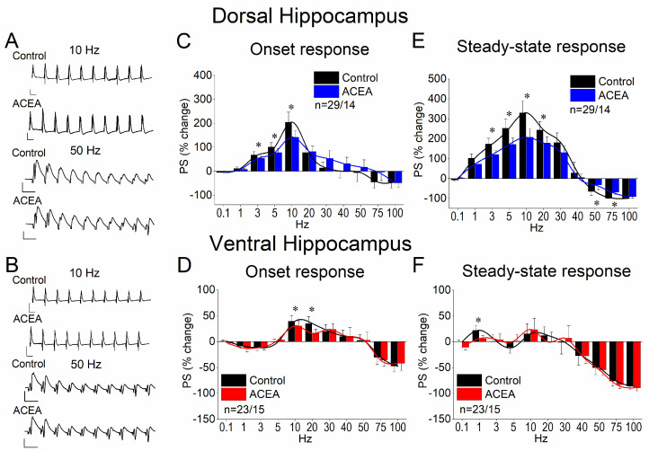 Effects of ACEA on STND in the dorsal (A–C) and ventral (D–F) hippocampus. (A,B) Representative example traces of PSs evoked by a ten-pulse train at 10 and 50 Hz in the dorsal (A) and the ventral (B) hippocampus. Calibration bars: 1 mV (all traces); 50 ms in traces of 10 Hz and 20 ms in traces of 50 Hz. (C,D) Effect of 5 nM ACEA on the first conditioned PS (onset response) plotted as a function of the stimulation frequency in the dorsal (C) and the ventral (D) hippocampus. (E,F) Effect of 5 nM ACEA on the steady-state response (average of the 8th–10th conditioned responses) plotted as a function of the stimulation frequency in the dorsal (E) and the ventral (F) hippocampus. Asterisks denote statistically a significant effect of the drug at p < 0.05. The number of slices/rats is stated on the graphs.