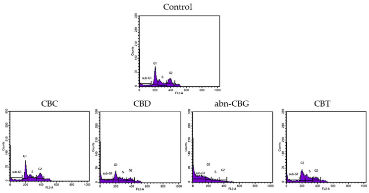 Flow cytometry analysis of changes in the cell cycle phases in CCD 841 CoTr human colon normal cell after 24 h of incubation with the tested cannabinoids (25 μg/mL). Only representative DNA histograms are presented.