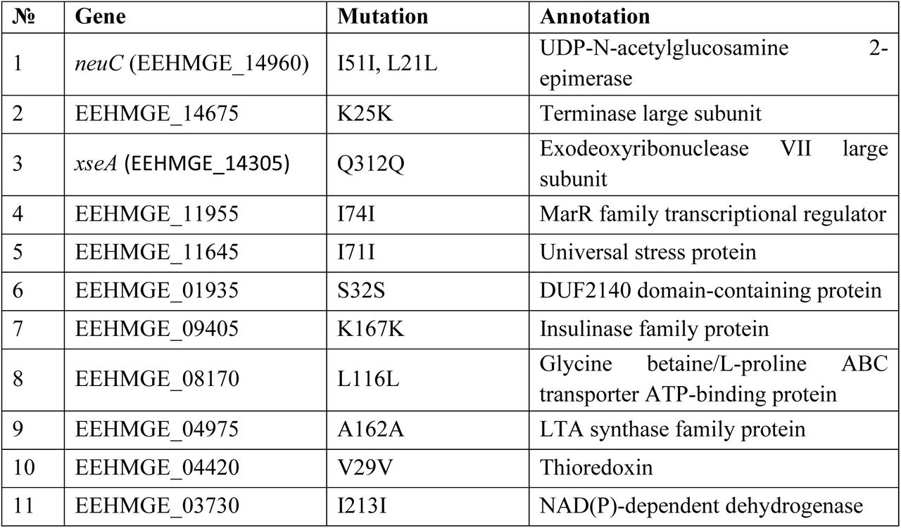 Silent mutations detected by WGS in ERV165-ΔsagA