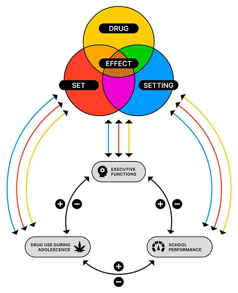 Interaction between drug use during adolescence, executive functions (EFs) as part of adolescent brain development, and school performance. Within this model, the positive (+) and negative (−) correlations between the factors are visualized. Also, the drug, set (individual factors), and setting (environmental factors) of an individual independently influence the drug use, executive functions, and school performance.