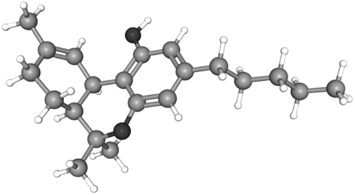 3D structure of Δ9-THC. 3D, three dimensional. Figure adapted with permission from PubChem.15