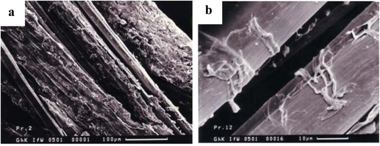 SEM micrographs showing the surface morphology of (a) untreated and (b) 18% acetylation-treated flax fibers. This figure has been reproduced from ref. 362 with permission from BME-PT, copyright 2021.
