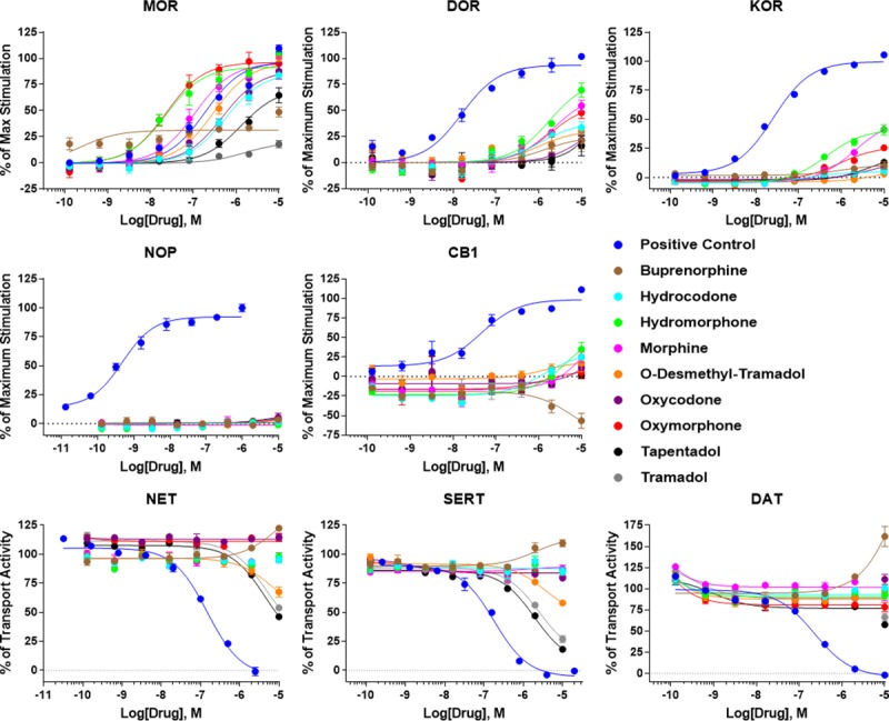 Summary concentration-response curves for receptor functional assays.35S-GTPγS coupling was performed for the MOR, DOR, KOR, NOP, and CB1 in agonist mode and a transport uptake assay was performed for NET, SERT, and DAT, all as described in the Materials and Methods. All 9 clinical opioids and a positive control agonist or transport inhibitor was tested against 8 receptor targets (minus the σ1R). Positive control: MOR = endomorphin-2, DOR = DPDPE, KOR = U50,488, NOP = nociceptin, CB1 = WIN55,212, NET/DAT = S-duloxetine, SERT = GBR12909. The data was normalized to the stimulation caused by positive control compound (100%) and vehicle (0%). The data was further reported as the mean ± SEM of the mean values calculated independently from N ≥ 3 independent experiments performed in duplicate.