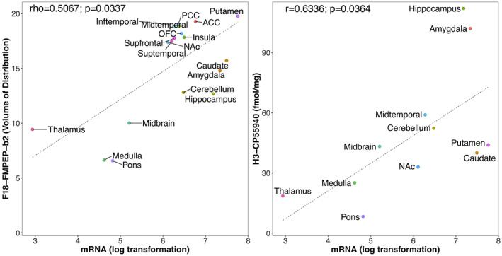 The association between CNR1 gene expression from the Allen human brain atlas and CB1 receptor expression. Left: Between volume of distribution of F18‐FMPEP‐d2 PET scans and CNR1 mRNA expression from 18 regions of interest, moderate strength of correlation was observed (rho = .5067, p = .0337). Right: Between H3‐CP55940 binding of autoradiography and CNR1 mRNA expression from 11 regions of interest, strong positive correlation was observed (r = .6336, p = .0364).