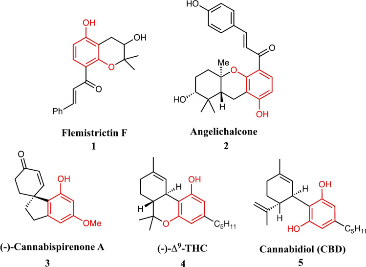 Typical natural products containing the resorcinol unit.