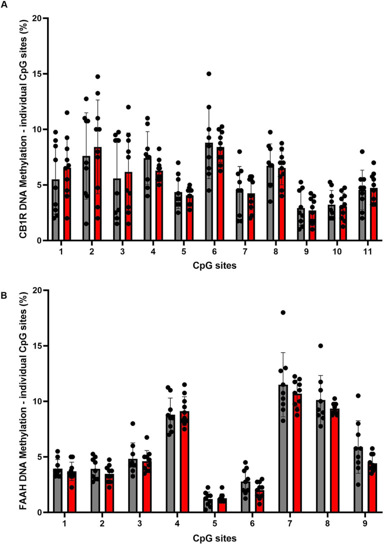 Overview of DNA methylation levels at individual CpG sites within the promoter region of the CB1R gene (A) and the FAAH gene (B). Data represent CpG-site specific DNA-methylation: for CB1R gene, 11 individual CpG-sites, for FAAH gene 9 individual CpG-sites were analyzed. CpG-sites are shown as ordinal numbers. DNA methylation levels are presented as mean ± SD. CON, control (n = 9); ELS, early life stress (n = 10).