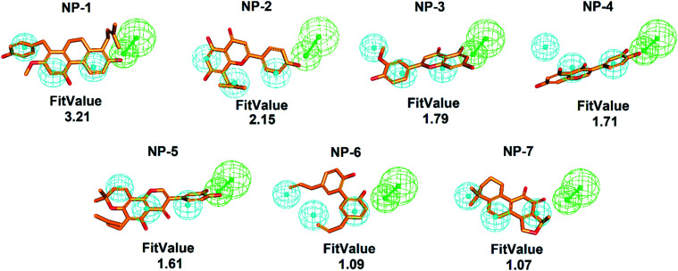 Pharmacophore-based inhibitor screening. The ligand-pharmacophore mapping results of the commonly identified 7 candidates NP-1 to NP-7. The chemical structures are shown in orange sticks (pharmacophore features are colored as follows: hydrogen-bond acceptor, green; hydrophobic group, cyan).