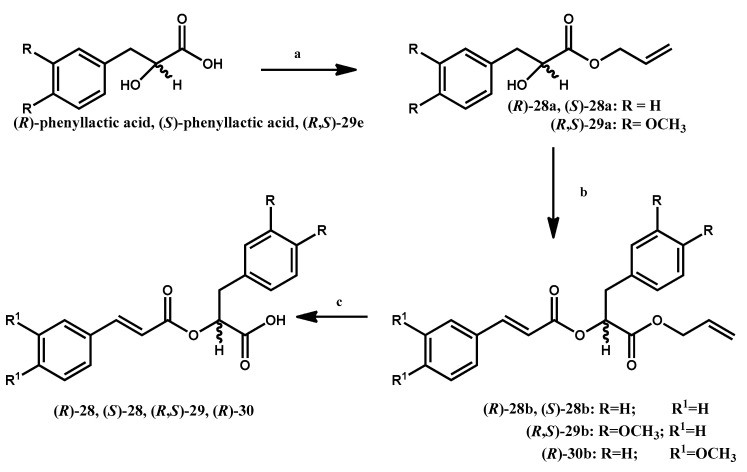 Synthesis of rosmarinic acid derivatives 28–30. (a) Allyl Alcohol, p-TsOH, 11 h, 100 °C; (b) DMAP, EDCI, Trans-cinnamic acid or 3,4-dimethoxycinnamic acid, 24 h, RT; (c) Pd(PPh3)4, morpholine, 2 h, RT.