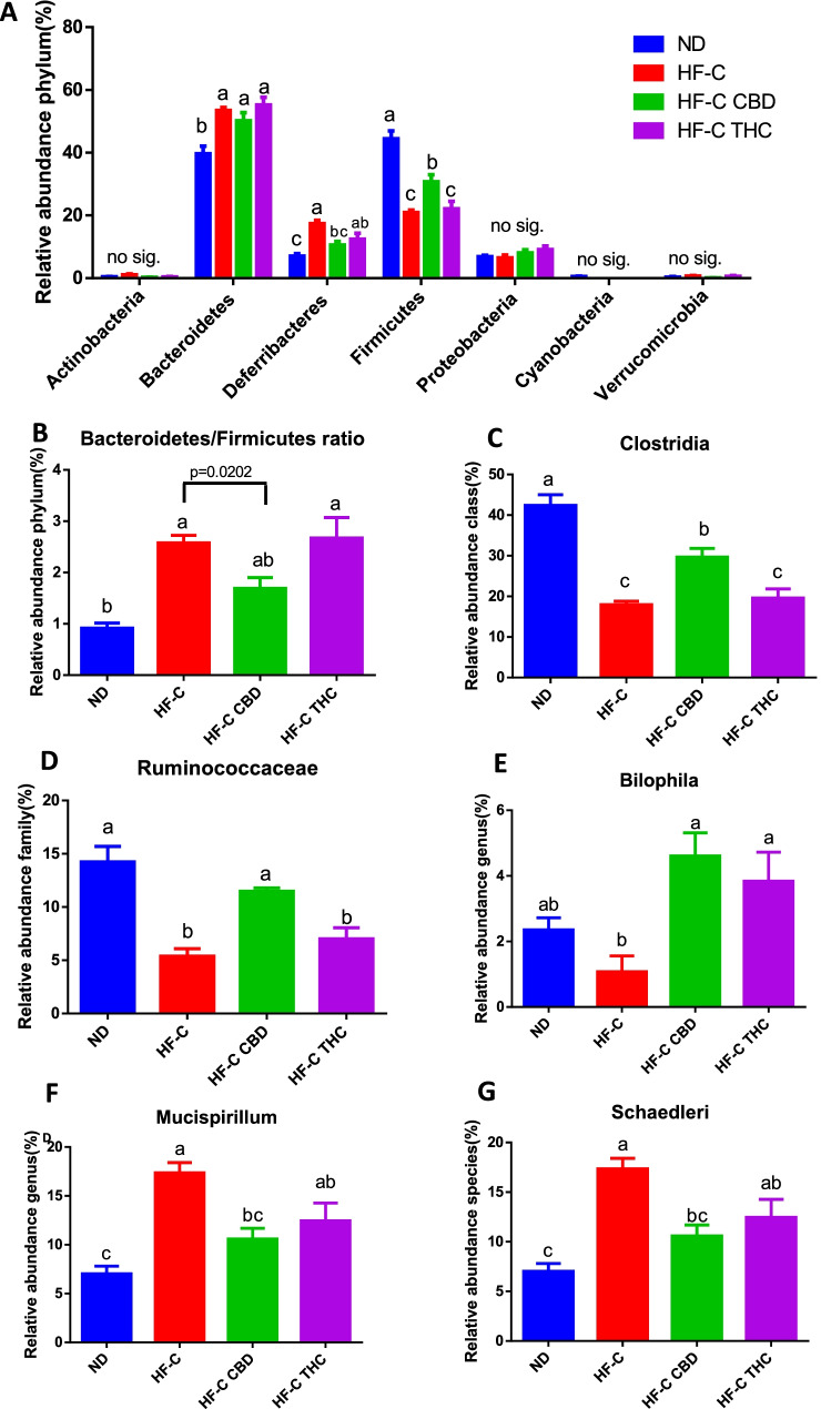 Effect of THC or CBD treatment on gut microbiota of mice fed HFCD. A Relative abundance of phyla. B Bacteroidetes to Firmicutes ratio. Relative abundance of C Clostridia, D Ruminococcaceae, EBilophila, FMucispirillum, GSchaedleri. Male C57BL/6J mice aged 7–8 weeks were fed either normal diet (ND, n = 8), high fat + 1%(w/w) cholesterol + 0.5%(w/w) cholate diet (HFCD, n = 8), HFCD containing CBD (2.39 mg/kg) (HFCD+ CBD, n = 8), HFCD containing THC (2.5 mg/kg) (HFCD+THC, n = 8). Bacterial DNA was extracted, and values were expressed as mean ± SEM. Columns marked with different letters (a, b) are significantly different (p < 0.05) in the Tukey–Kramer test