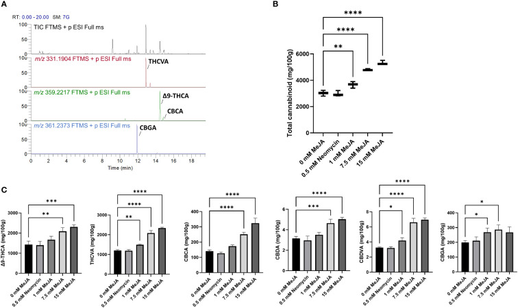 PC content of MeJA and neomycin treated plants. (A) Total ion chromatogram (TIC) and extracted ions m/z 331.1904 and m/z 359.2217 of a representative methanol extract of the floral tissues of Accession # 6 (genotype MW6-15). CBGA, THCVA, Δ9-THCA and CBCA are the most abundant phytocannabinoids. (B) The response of total acidic PC content to MeJA and neomycin treatment. (C) The changes in the concentrations of individual PC contents in response to MeJA and neomycin treatment. Mass tolerance of extracted ions ≤ 5 ppm. One-way ANOVA Dunnett’s multiple comparisons test of control (0 mM) vs neomycin and ≥ 1 MeJA treatments *p < 0.05, **p < 0.01, ***p < 0.001, ****p < 0.0001.