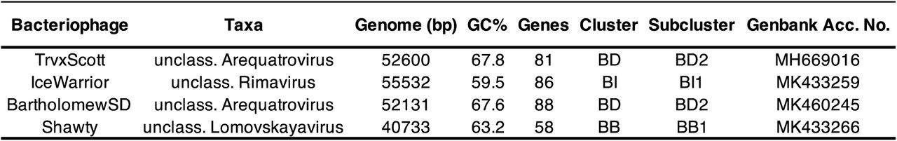 Summary of the NCBI WGS annotations of four phage isolates.