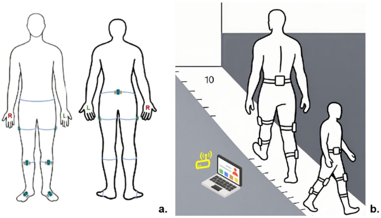 Illustration of “NOITOM” system.Panel a. Attached position of IMU; Panel b. 2-minutes walking test in a 10-meter pace.