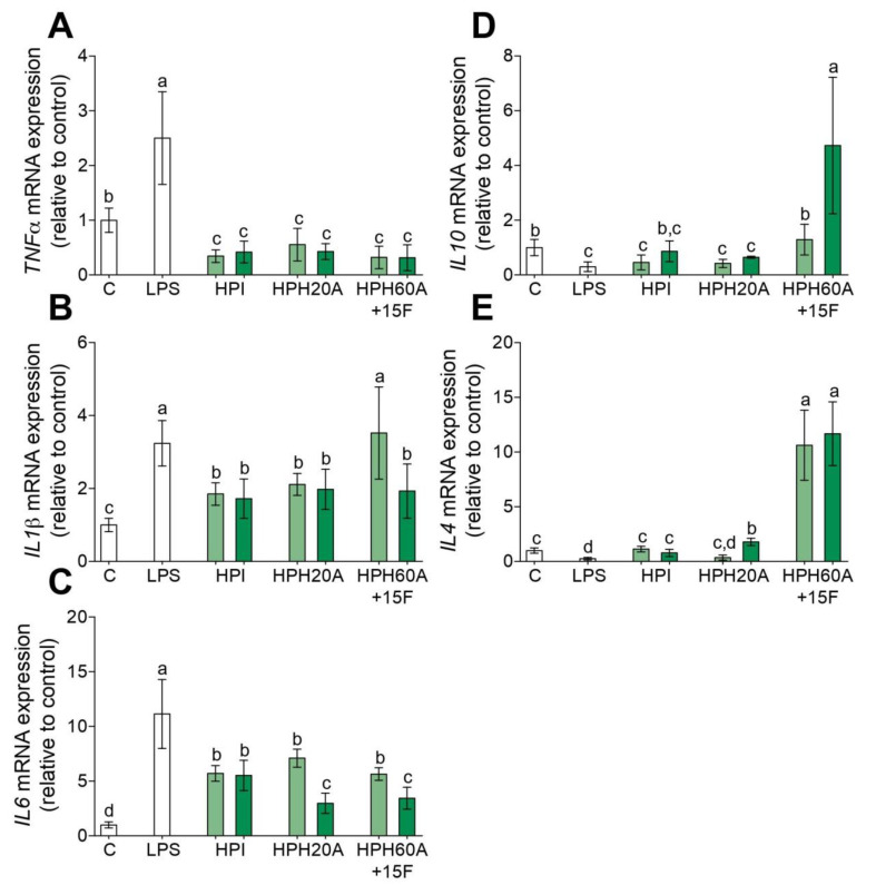 Effect of hemp protein products (HPPs) on inflammatory cytokine gene expression in LPS-stimulated primary human monocytes. Monocytes were treated with LPS (100 ng/mL) and then incubated with hemp protein isolate (HPI), HPH20A, and HPH60A15F at 50 (light green bar) and 100 (dark green bar) μg/mL for 24 h. Relative mRNA expression levels of TNF-α (A), IL-1β (B), IL-6 (C), IL-10 (D), and IL-4 (E) were detected by real-time quantitative PCR. Data are show as means ± SD (n = 3) and the significantly different (p < 0.05) are labeled with contrasting letters.