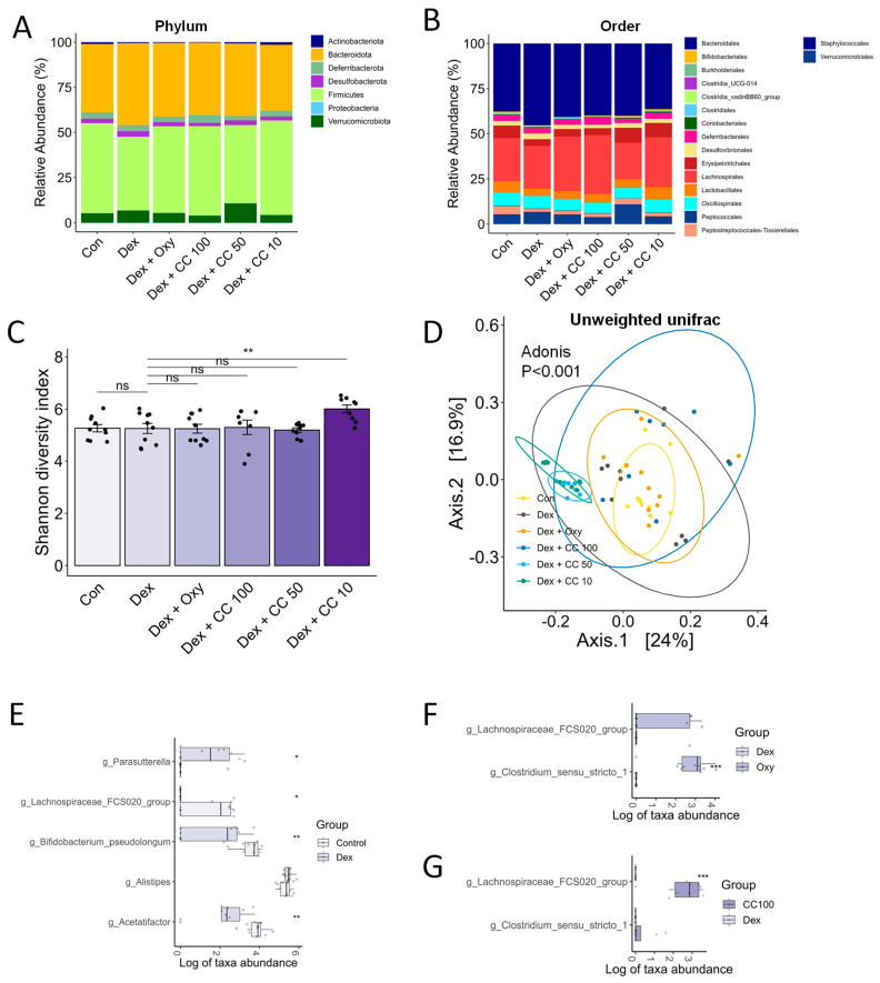 CC modulates gut microbial diversity and bacterial taxa. (A,B) Relative abundance of bacterial taxa in the phylum and order level. The x-axis is the group, and the y-axis is the proportion of relative abundance of bacteria; different colors represent different bacteria taxa. (C,D) Alpha- and beta-diversity indices, Shannon diversity (C), and unweighted Unifrac indices (D). (E) Genera showing significantly differential abundance between the Control and Dex groups. (F) Genera showing significantly differential abundance between the Control and Oxy groups. (G) Genera showing significantly differential abundance between the Dex and CC100 groups. Data are shown as mean ± SE, n = 8–10. Tukey’s post hoc multiple comparisons test was performed. The black dots on the bar graph represent the data values for each mouse on the x-axis. * p < 0.05, ** p < 0.01, and *** p < 0.005; CC or control vs. Dex; ns (not significant) p > 0.05. Dex, dexamethasone; CC, Centaurea cyanus extract; Oxy, oxymetholone.