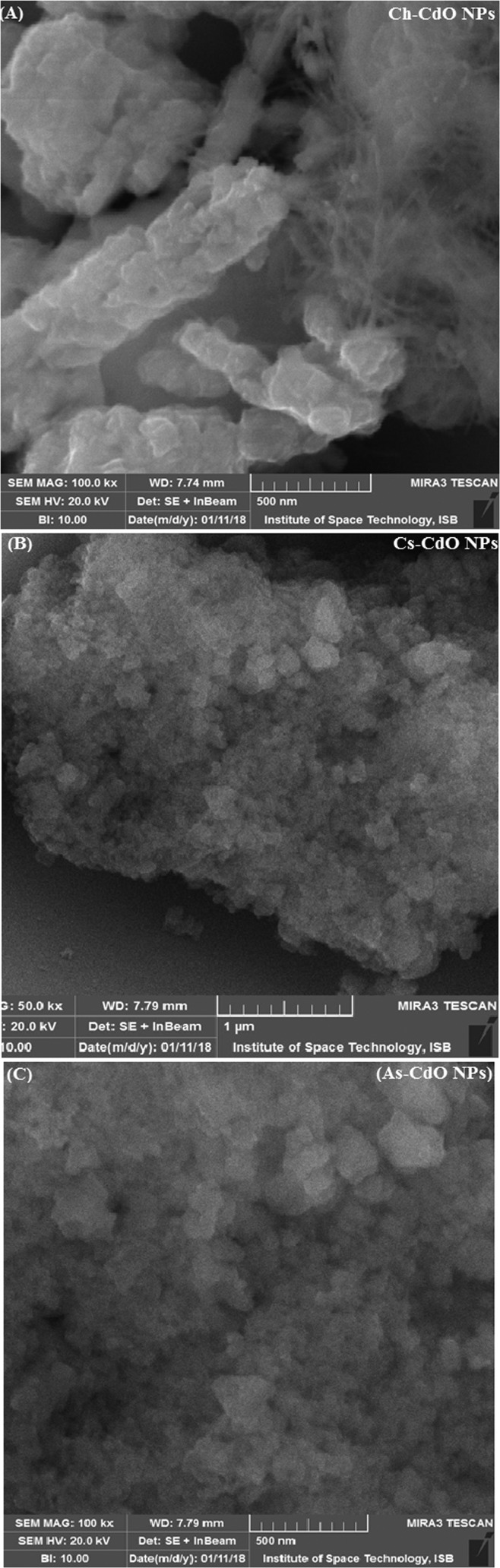 SEM analysis of CdO NPs synthesized through green chemistry and co-precipitation method: (A) Ch-CdO NPs, (B) Cs-CdO NPs, and (C) As-CdO NPs.