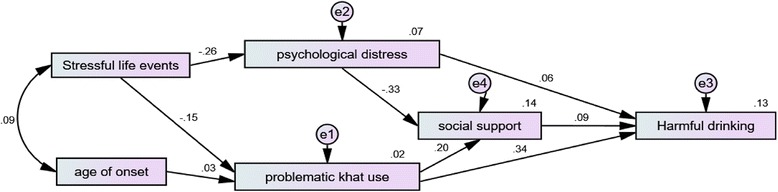 The path diagram with standardized path coefficient of exogenous and endogenous variables for harmful alcohol drinking