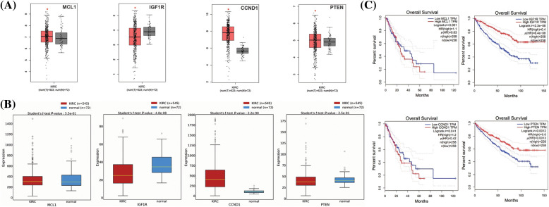Expression validation and survival analysis of MCL1, IGF1R, CCND1, and PTEN. (A) Expression validation of MCL1, IGF1R, CCND1, and PTEN in KIRC and normal samples via GEPIA database, *p < 0.05. (B) Expression validation of MCL1, IGF1R, CCND1, and PTEN in KIRC and normal samples via OncoDB database, and (C) survival analysis of MCL1, IGF1R, CCND1, and PTEN in KIRC and normal samples via GEPIA database.