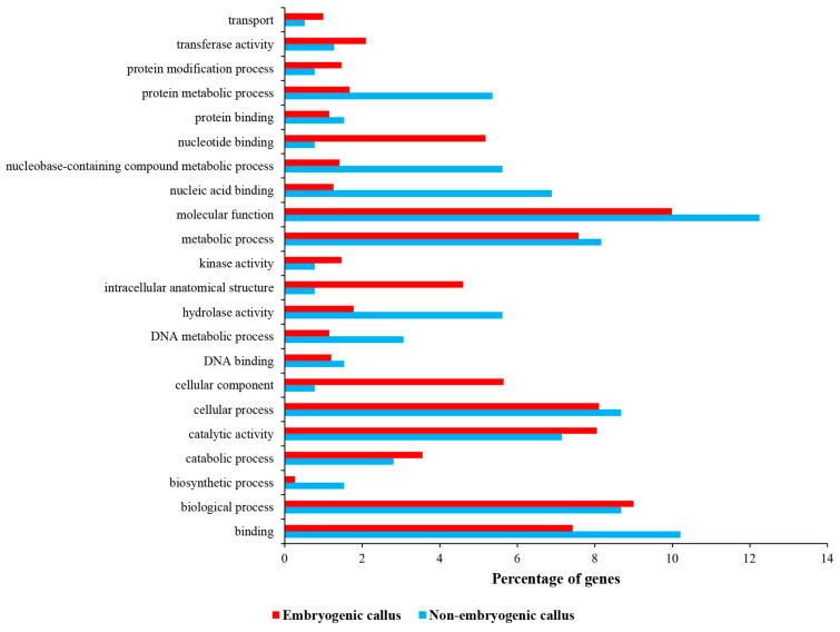 GO enrichment of differentially expressed genes between embryogenic and non-embryogenic calli.