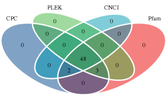 Statistics of lncRNA annotation in CPC, PLEK, CNCI and Pfam databases.