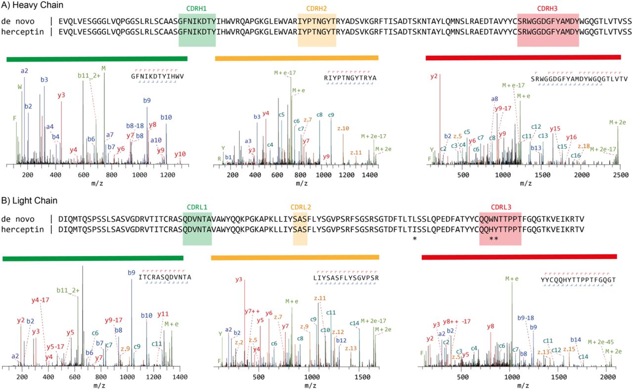 mass spectrometry-based de novo sequencing of the monoclonal antibody Herceptin. The variable regions of the Heavy (A) and Light Chains (B) are shown. The MS-based sequence is shown alongside the known Herceptin sequence, with differences highlighted by asterisks (*). Exemplary MS/MS spectra supporting the assigned sequences of the Heavy and Light Chain CDRs are shown below the alignments. Peptide sequence and fragment coverage are indicated on top of the spectra, with b/c ions indicated in blue and y/z ions in red. The same coloring is used to annotate peaks in the spectra, with additional peaks such as intact/charge reduced precursors, neutral losses and immonium ions indicated in green. Note that to prevent overlapping peak labels, only a subset of successfully matched peaks is annotated.