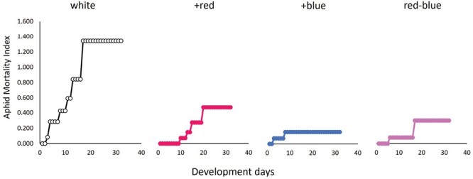 The aphid mortality index plotted over the developmental days of the aphid life-history observations. The dots represent the cumulative aphid mortality across time. The aphid mortality index is defined by the following formula: y=∑x=132{ Natural deaths on Day(x)Aphids alive on Day(x)}+{ Natural deaths on Day(x+1)Aphids alive on Day(x+1)}