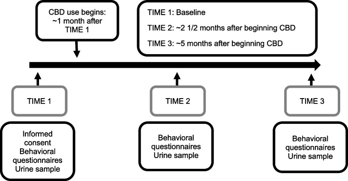 Timeline; Legend: The horizontal arrow in the center of the figure represents the six month time course of the study. Below the arrow, the three time points for data collection are displayed in boxes: TIME 1, TIME 2, TIME 3. Above the arrow, the timing of the initiation of CBD is displayed along with the ~ timing of data collection relative to the initiation of CBD use. The information collected at each time point is indicated in the lowest boxes