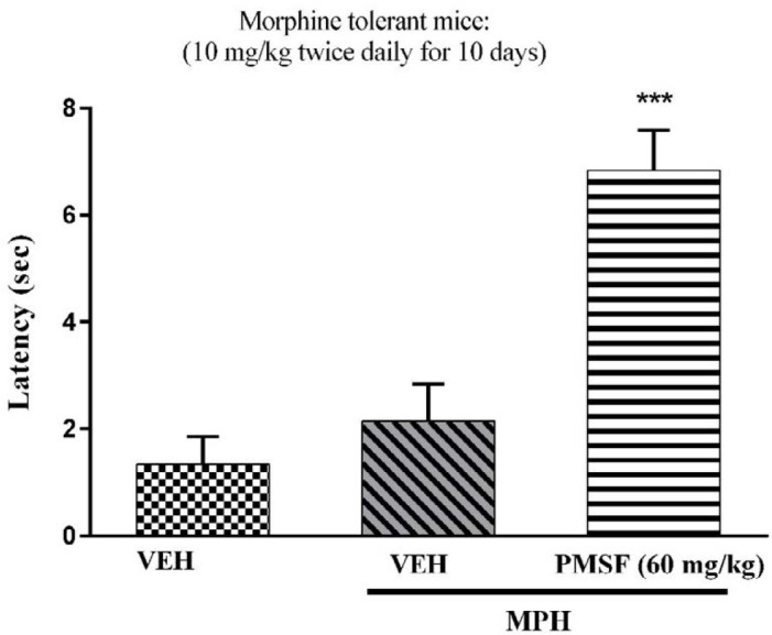 Effect of acute administration of PMSF on the expression of morphine tolerance in mice. To evaluate whether PMSF could reverse morphine tolerance in mice, the animal received morphine (10 mg/kg, s.c.) twice daily for 10 days and on the test day (day11), PMSF (60 mg/kg, i.p.) was administrated 30 min before morphine injection. The hot-plate test was carried out to evaluate the effect of PMSF on the expression of morphine tolerance. Each point represents the means ± SEM. (n = 8). ***P < 0.001 vs. vehicle-treated group (ANOVA Tukey's multiple comparison test)