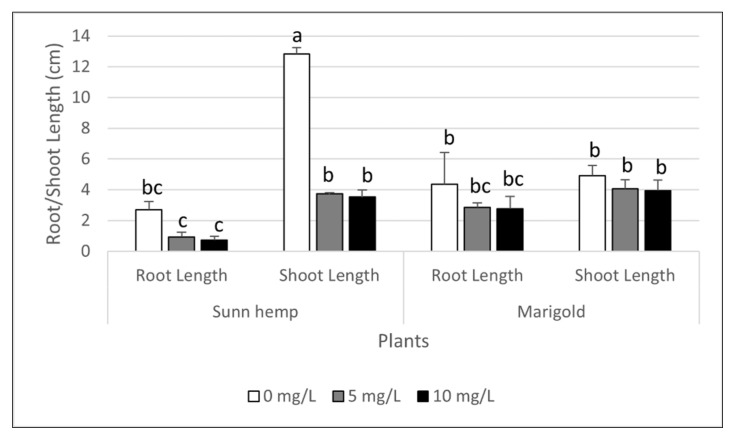 Seed germination test for the length of shoot and root of sunn hemp and marigold exposed to carbaryl concentrations of 0, 5 and 10 mg L−1. Note: a, b and c indicate significant differences based on ANOVA and a Tukey HSD test. The data shown are mean and SD.