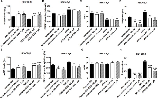 Effect of CBG on the action of CB1R and CB2R agonists. (A–D) HEK-293T cells were transfected with 0.75 μg cDNA for CB1R and treated with 100 nM AEA or a selective CB1R ligand (100 nM ACEA) in the absence (black bars) or presence of 100 nM (white bars) or 1 μM (gray bars) CBG. (E–H) HEK-293T cells were transfected with 1 μg cDNA for CB2R and treated with 100 nM AEA or a selective CB2R ligand (100 nM JWH133) in the absence (black bars) or presence of 100 nM (white bars) or 1 μM (gray bars) CBG. cAMP production (A,E) is expressed as % of levels obtained by 0.5 μM forskolin. ERK1/2 phosphorylation data are expressed as % respect to basal levels (B,F). In β-arrestin-2 recruitment assays cells were transfected with 1 μg cDNA for β-arrestin-Rluc and either 0.75 μg cDNA for CB1R-YFP or 1 μg cDNA for CB2R-YFP. Data for β-arrestin recruitment (C,G) and label-free (D,H) assays are expressed, respectively, in mBRET units and pm. Data represent the mean ± SEM of six different experiments performed with six replicates. One-way ANOVA and Bonferroni’s multiple comparison post hoc test were used for statistical analysis (∗p < 0.05, ∗∗p < 0.01, ∗∗∗p < 0.001; versus treatment with AEA, ACEA, or JWH133 alone).