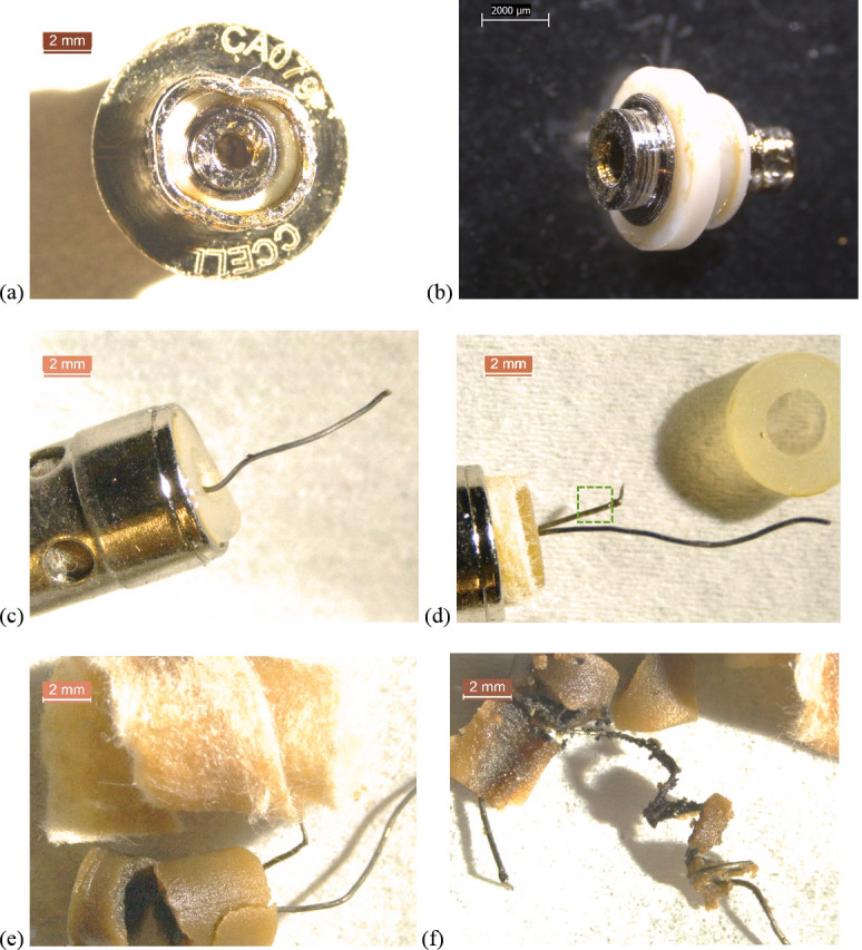 6.3-10x stereozoom microscope images of components from used CCell cartridge associated with EVALI case.a) bottom of cartridge end cap showing battery contact. b) battery contact in white polymer gasket. c) air tube with fluid holes and filament wire protruding through rubbery end cap. d) filament wire leads, ceramic, and fibrous insulation partially exposed. See Fig 11D for composition of boxed region. e) ceramic material broken to liberate filament. f) black, burnt material inside oil-soaked ceramic, suggesting exposure to high temperatures.