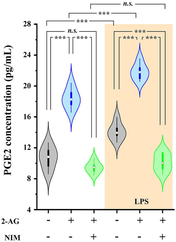 PGE2 production is increased in spinal astrocyte-microglia co-cultures in the presence of 2-AG in both control and LPS-treated cultures. Application of 2-AG does not alter PGE2 production in the presence of the COX-2 inhibitor nimesulide. n = 9 cultures. Box plot properties: center: median; edges: 25th–75th percentiles; whiskers: extrema; outliers plotted individually. Statistical comparison: two-way Anova with Bonferroni correction. n.s: not significant. ***p < 0.001.