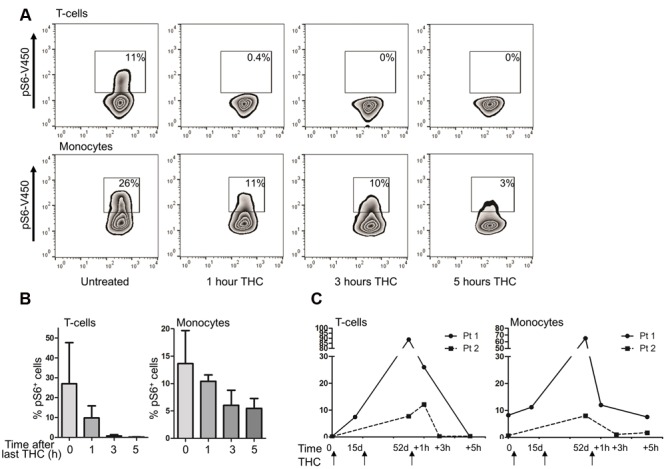 Intake of THC reduces S6 phosphorylation in patient PBMCs in the short term, but enhances S6 phosphorylation in the long term. (A) PBMCs were isolated from patients taking medicinal marijuana for pain-related complaints for 52 days. On day 52, samples were obtained pre-dose, and 1, 3, and 5 h after THC intake. A representative example of n = 4 is shown, demonstrating that the short term effects of THC intake include a decrease in S6 phosphorylation. (B) Mean percentage pS6 positive T cells and monocytes (n = 4). (C) For two patients, PBMCs were isolated pre-dosing on day 0, day 15 and day 52, as well as post-dose on day 52. Both patients show a clear increase of S6 phosphorylation during prolonged THC treatment, which is decreased upon short term treatment.