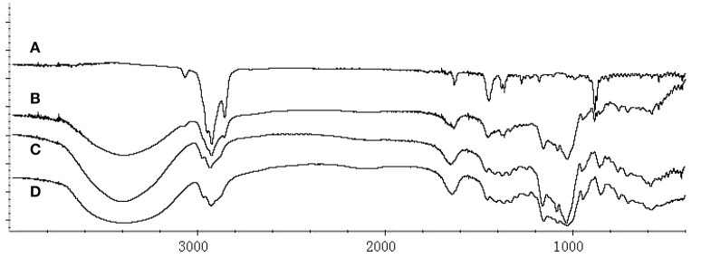 FT-IR spectra of (A) BCP, (B) physical mixture, (C) HPβCD, and (D) HPβCD/BCP. The BCP spectrum showed the bands from 3070 to 2680 cm−1 and 1637 to 870 cm−1. The physical mixture presented the absorption band of BCP at 885 cm−1. HPβCD showed a absorption bands at 3401 cm−1. HPβCD/BCP showed only a few identical features compared with BCP.
