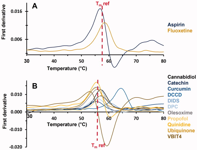 First derivative of the 350/330 nm ratio obtained from NanoDSF as a function of the temperature. Only compounds displaying a significant Tm shift are shown. (A) Compounds solubilised in buffer. (B) Compounds solubilised in DMSO. Reference Tm, obtained for hVDAC1 (in absence (A) or in presence of 5% DMSO (B)) is indicated.