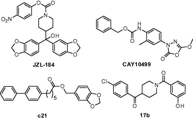 Structures of some of the most relevant MAGL inhibitors.