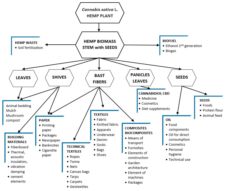 Schematic performance of multidirectional potential of the use hemp raw materials, based on [12].