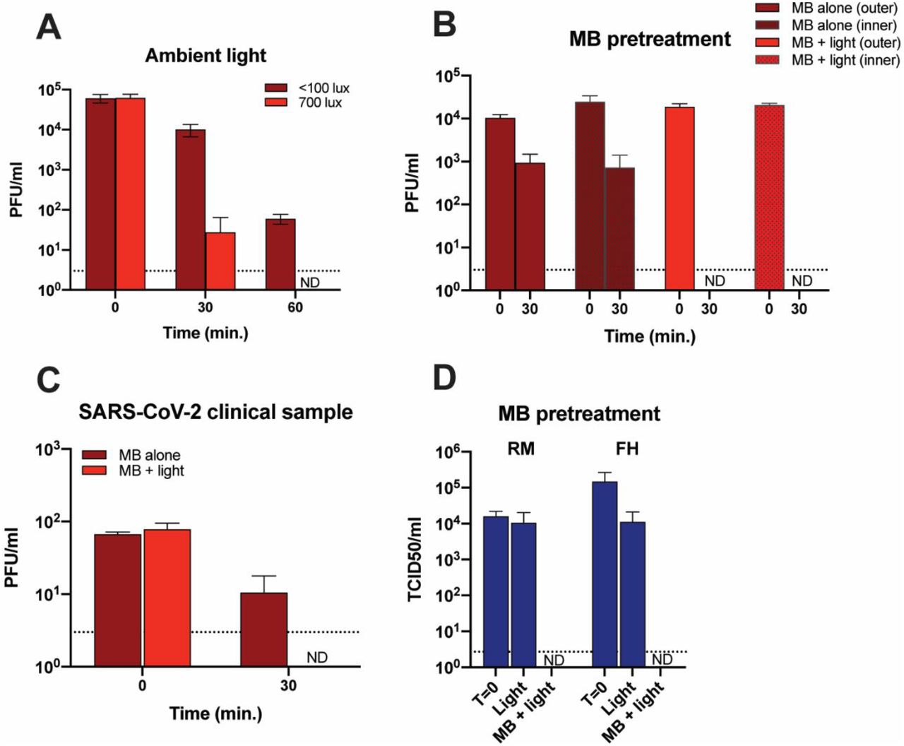 Potential applications of MBL in a clinical setting.(A) Effect of low light levels on SARS-CoV-2 inactivation using MB. A 10 µl aliquot of SARS-CoV-2 was applied to R3 coupons and dried for 20 min. Ten microliters of 10 µM MB was added to each coupon before treatment with 700 lux or <100 lux of light. Seven hundred lux is the light level produced by the biosafety hood lights and is used to represent ambient light. (B) Effect of MB pre-treatment on SARS-CoV-2 inactivation. Coupons were cut from R3 masks and soaked for 1 hr in 10 µM MB. The coupons were then air-dried in the dark for 2 days before adding 10 µl of virus to either the inner or outer layers. The samples were exposed to light (50,000 lux) for 30 min, and the virus titer determined by plaque assay using 6 replicates. (C) Inactivation of a SARS-CoV-2 clinical specimen by MBL. A saliva specimen was obtained from a COVID-19 patient with a titer of 1.1 × 105 PFU/ml for SARS-CoV-2. Ten µl aliquots were applied to coupons cut from a R3 mask and treated with 10 µM MB and exposed to 50,000 lux of light for 30 min. Each virus titer was measured using 6 replicate samples. (D) Effect of MB pre-treatment on MHV inactivation using intact masks. Intact R3 and FW masks were pretreated with 10 µM MB by spraying the front and back with a total of 7-8 ml of MB and allowed to dry overnight in the dark. The dried masks were inoculated with MHV and exposed to 50,000 lux of light for 30 minutes, and the inoculated areas were excised before elution and titration. ND = Not detected. FH= Type IIR Halyard face mask. RM= 3M 1860 half-sphere respirator. Dotted line indicates limit of detection.