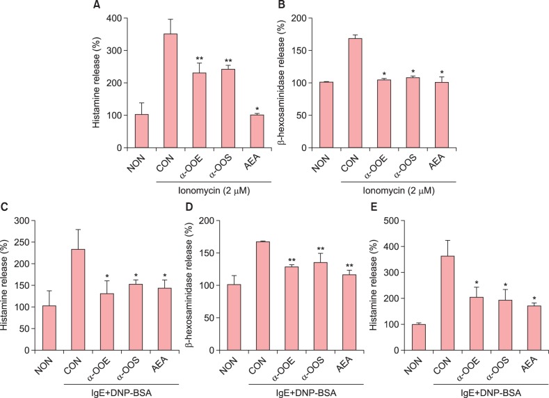 Effects of cannabinoid receptor-1 (CB1R) agonists on the degranulation of rat basophilic leukemia cell line (RBL-2H3) mast cells. (A, B) The inhibitory effects of α-oleoyl oleoylamine ethanolamine (α-OOE), α-oleoyl oleoylamine serinol (α-OOS), and N-arachidonoylethanolamine (AEA) were determined on ionomycin (2 µM)-induced histamine (A) or β-hexosaminidase release (B) from rat mast cells. (C, D) RBL-2H3 cells sensitized with anti-dinitropheno-immunoglobulin E (anti-DNP-IgE) (0.5 µg/ml) for 12 hr were pretreated with the CB1R agonists. Histamine (C) or β-hexosaminidase release (D) from mast cells was measured. (E) Bone marrow derived-cultured mast cells from mouse bone marrow was sensitized with anti-DNP-IgE for 12 hr and histamine release from cells was measured. All data are presented as the mean±standard error, t-test and analysis of variance. NON: non-stimulated, CON: control (stimulated), IgE: Immunoglobulin E, DNP: dinitrophenol, BSA: bovine serum albumin. *p<0.01 and **p<0.05.