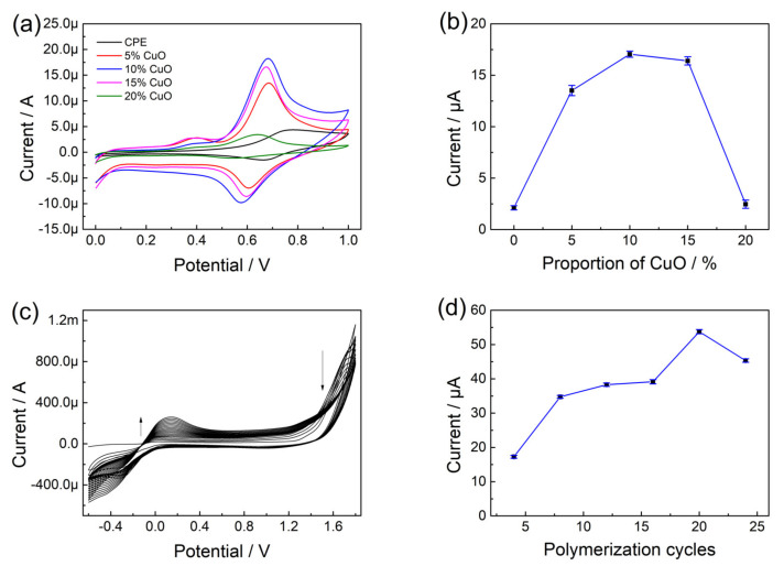 (a) CV of CuO/CPE prepared by different proportions of CuO nanoparticles in olivetol solution; (b) Effect of proportion of CuO nanoparticles on peak currents of electrodes in olivetol; (c) CV of preparation of p-L-serine/CuO/CPE; (d) Effect of polymerization cycles on peak currents of electrodes in olivetol.
