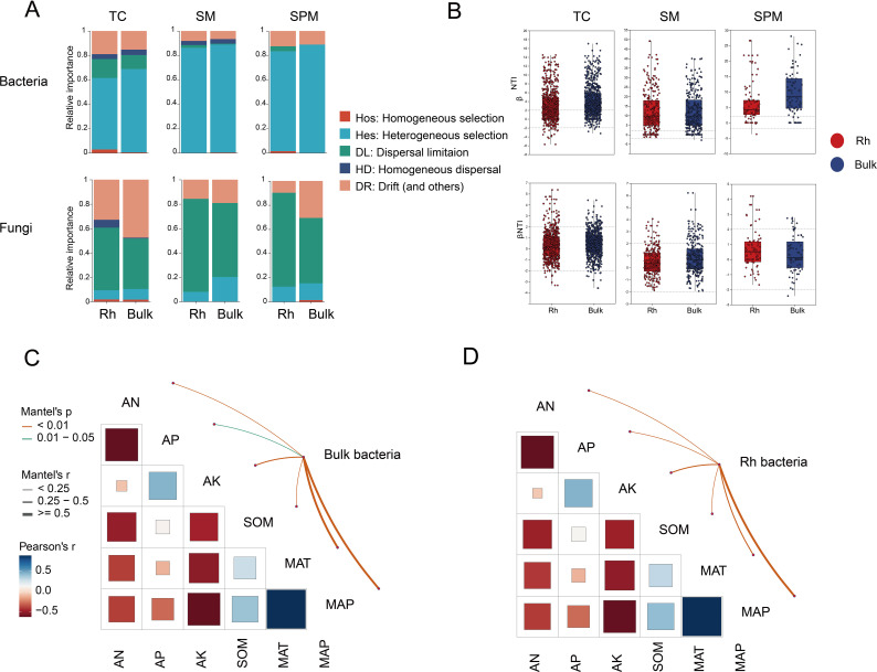Panel A features stacked bar charts comparing the relative importance of ecological processes for bacteria and fungi in rhizosphere and bulk soil across three compartments (TC, SM, SPM). Panel B shows box plots of βNTI values for these compartments, with red indicating rhizosphere and blue indicating bulk soil samples. Panel C presents correlation matrices and lines showing relationships between environmental factors and microbial communities, with varying significance and strength of correlations indicated by colors and line styles.