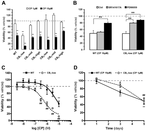CP-55,940 kills DBT cells via cannabinoid receptor-dependent and -independent mechanisms.Wild-type (wt) DBT cells and DBT subclones stably expressing cannabinoid receptors were expanded in 24-well plates, incubated with CP-55,940 (CP) at either 1 µM (receptor mediated) or 10 µM (receptor independent), and cell viability was assessed by quantifying WST-1 conversion. (a) Five days after treatment, only CB1-low DBT cells showed significant sensitivity to CP at 1 µM, whereas all subclones were sensitive to CP at 10 µM. Data represent means±s.e.m. of 5–9 independent experiments in triplicate. (b) Only the pretreatment of CB1-low DBT cells with SR141617A (5 µM) prevented the CP-induced killing, whereas pretreatment with PD 98059 (PD, 10 µM) significantly reduced both the CP 1 µM and CP 10 µM induced toxicity in CB1-low and wild-type, respectively. Data represent means±s.e.m. of 3–5 independent experiments in triplicate. (c) Dose-response and (d) kinetics of CP-induced killing of wt and CB1-low DBT cells. Data represent means±s.e.m. of 3–9 independent experiments in triplicate. All results are expressed as % of WST-1 measurements in corresponding cells treated with vehicle (0.1% DMSO) for the indicated time point. In (a), (*) = p<0.05 and (**) = p<0.01 significantly different from the viability in the presence of vehicle only, ANOVA followed by Bonferroni's post-test. In (b), (**) = p<0.01 significantly different the viability after treatment with either 1 or 10 µM CP, ANOVA followed by Bonferroni's post-test. In (c), (**) and (##) = p<0.01 significantly different from the viability in the presence of vehicle only, ANOVA followed by Bonferroni's post-test. In (d), (#) = p<0.05, and (**) and (##) = p<0.01 significantly different from the viability in the presence of vehicle only at corresponding time point, ANOVA followed by Bonferroni's post-test.