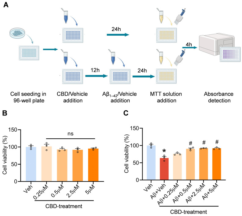 CBD mitigates Aβ-induced cytotoxicity in SH-SY5Y cells. (A) Experimental design schematic. (B) CBD cytotoxicity assessment in SH-SY5Y cells. (C) Effects of CBD on the cell viability of SH-SY5Y cells induced by Aβ1–42. Data are presented as mean ± SEM (n = 3). * p < 0.05 vs. sham + Veh group; # p < 0.05 vs. AD + Veh group; ns: not significant.